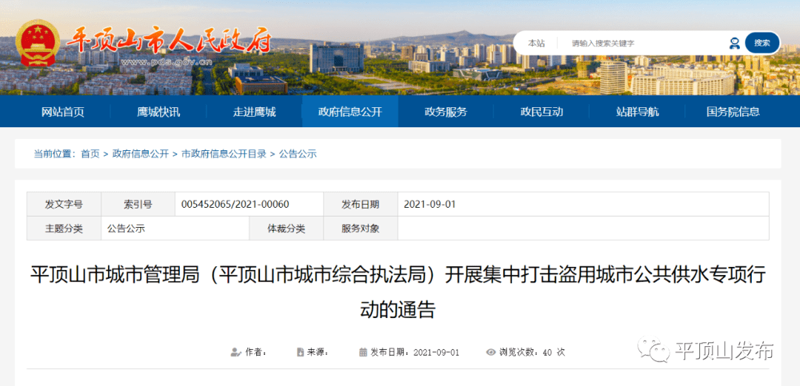 网站构建风向标：揭秘站群程序发展趋势