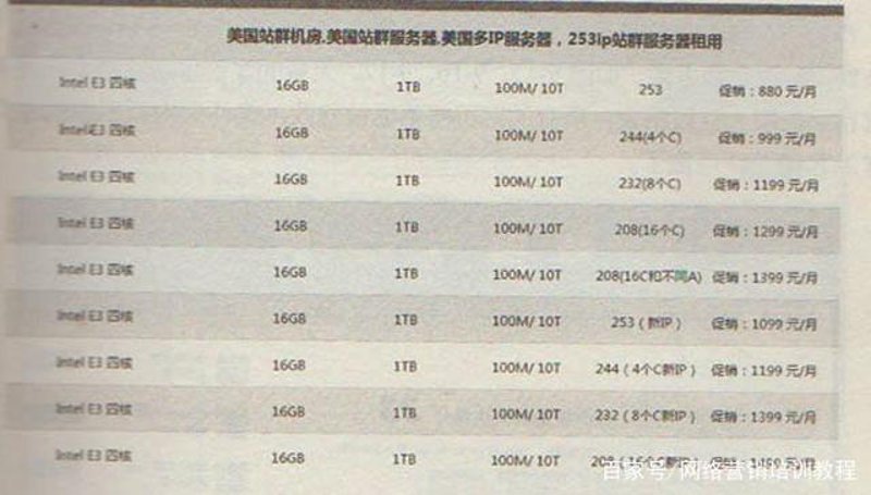 聚焦站群软件:数字化转型的新引擎