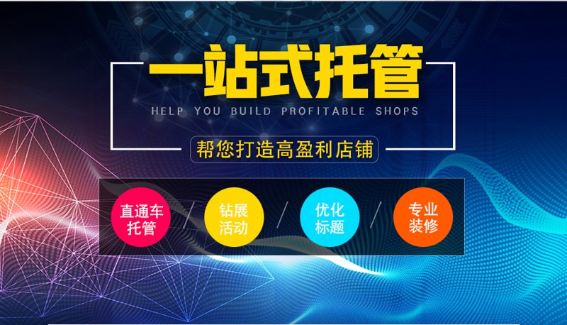 站群系统在电商行业的应用与发展趋势